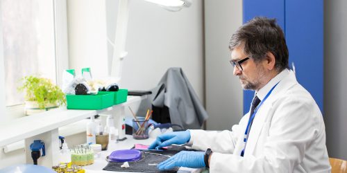 Pathology Laboratories